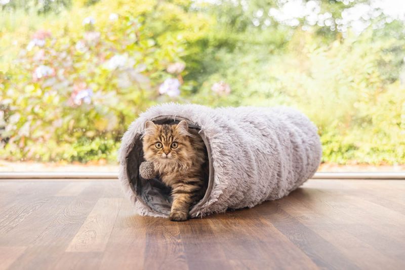Beeztees Nona - Katten Speeltunnel - Grijs