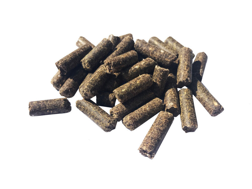 Pavo Performance - Sport/ Prestatie - 20 Kilogram - Zak