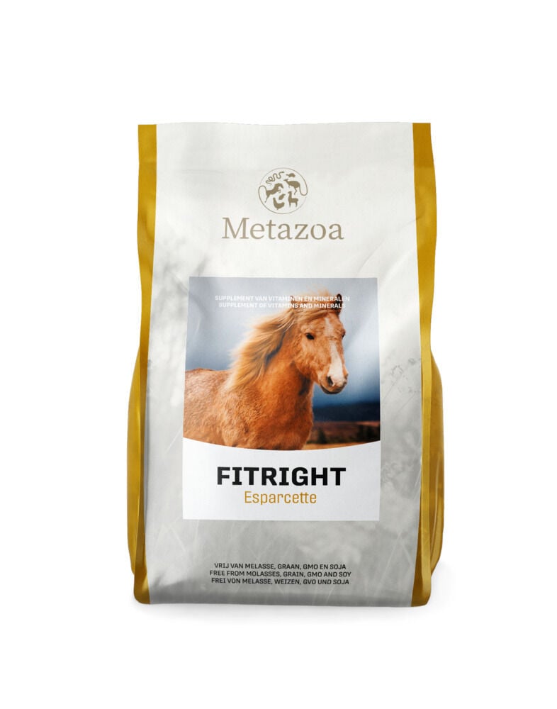 Metazoa BalanceFit Esparcette - Specialiteit - Paardenvoer - 15 Kilogram - Zak Metazoa BalanceFit Esparcette - Specialiteit - Paardenvoer - 15 Kilogram - Zak