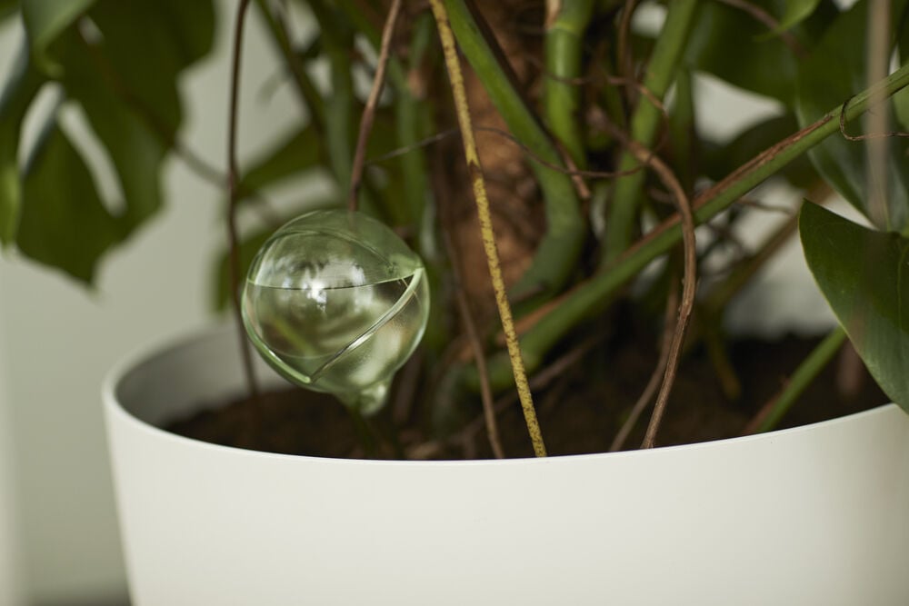 Elho Aqua Care - Waterdispenser - Transparant