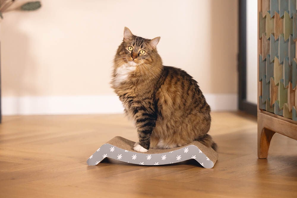 Beeztees Star - Krabplank - Blauw - 1x44.5x1 cm