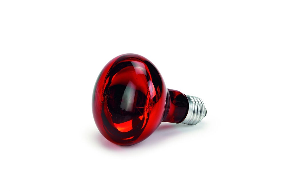 Olba Infrarood Warmtelamp - 13x8x8 cm
