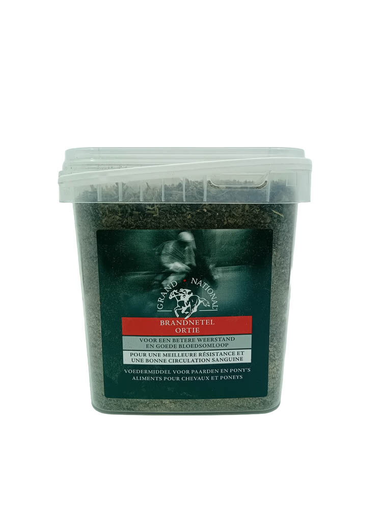 Grand National - Brandnetel
