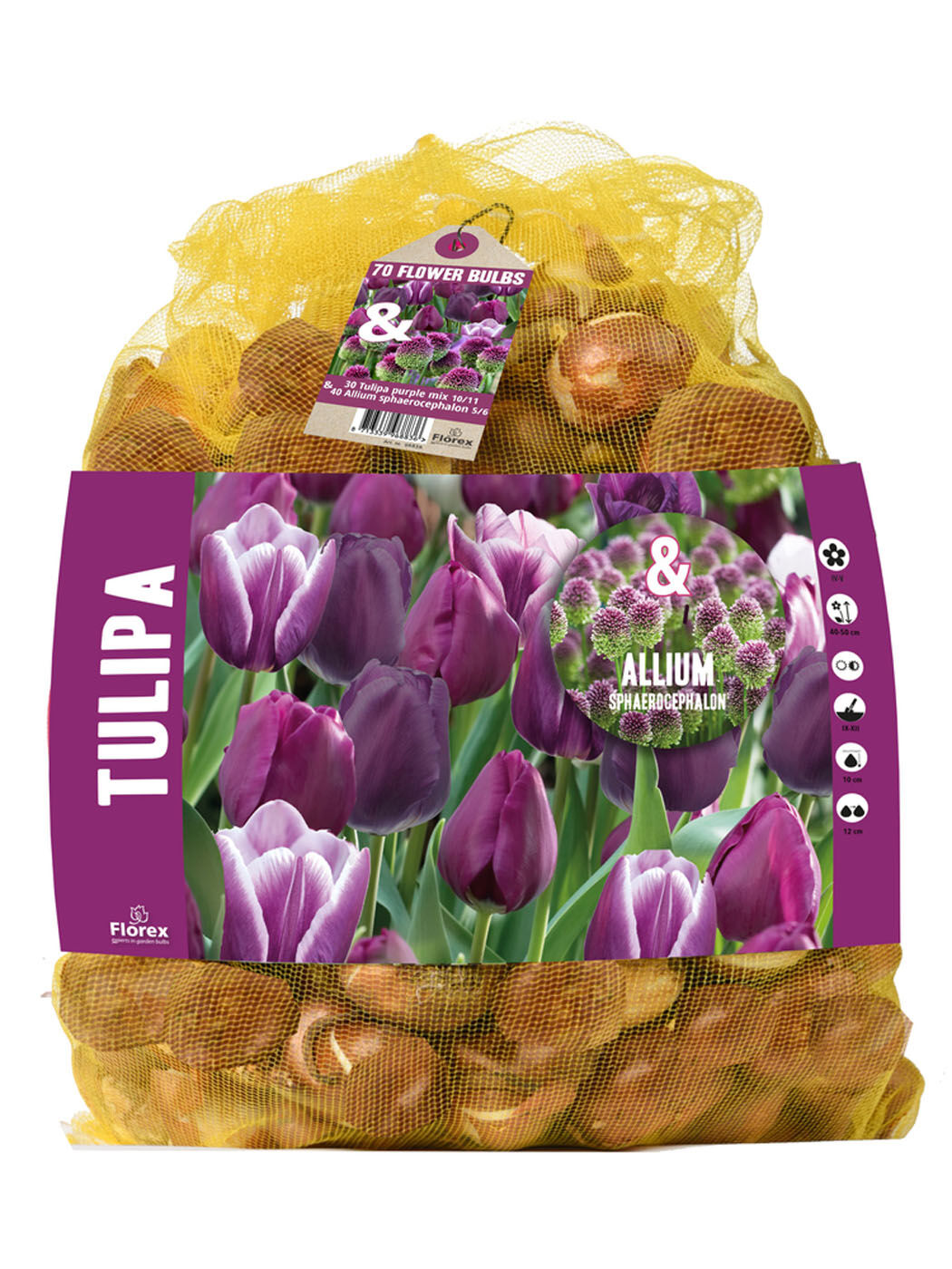 Florex Tulp - Allium - Bloembollen Florex Tulp - Allium - Bloembollen