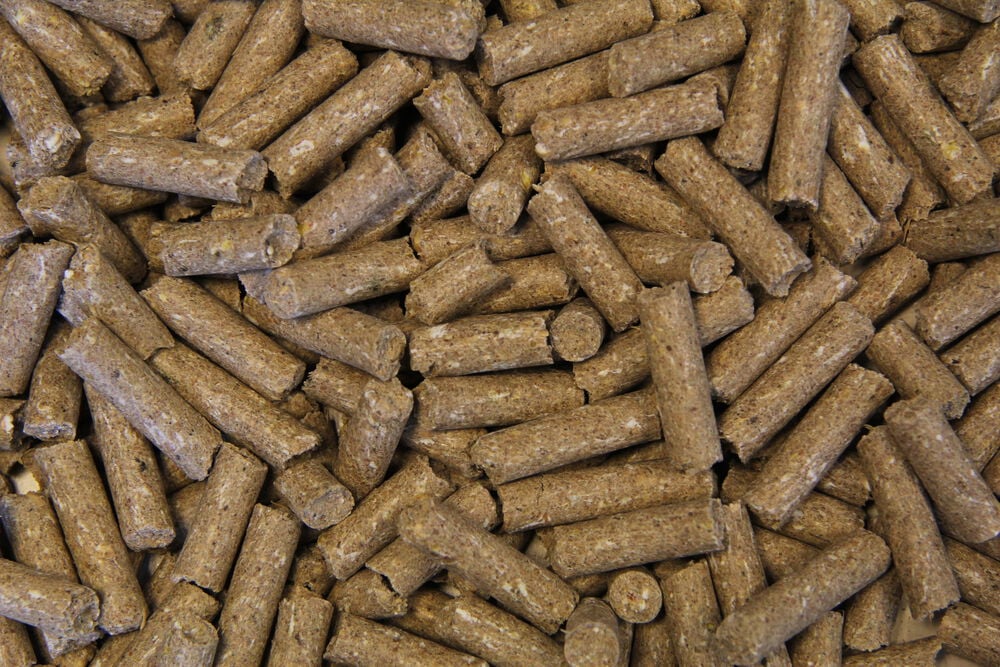 Voermeesters Efficiënt - Basisvoeding - 20 Kilogram - Zak