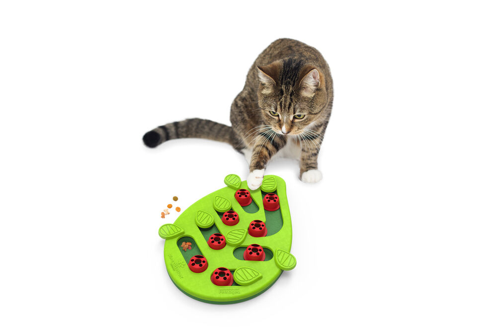 Nina Ottosson Buggin' Out Puzzle & Play - Kattenspel - Groen