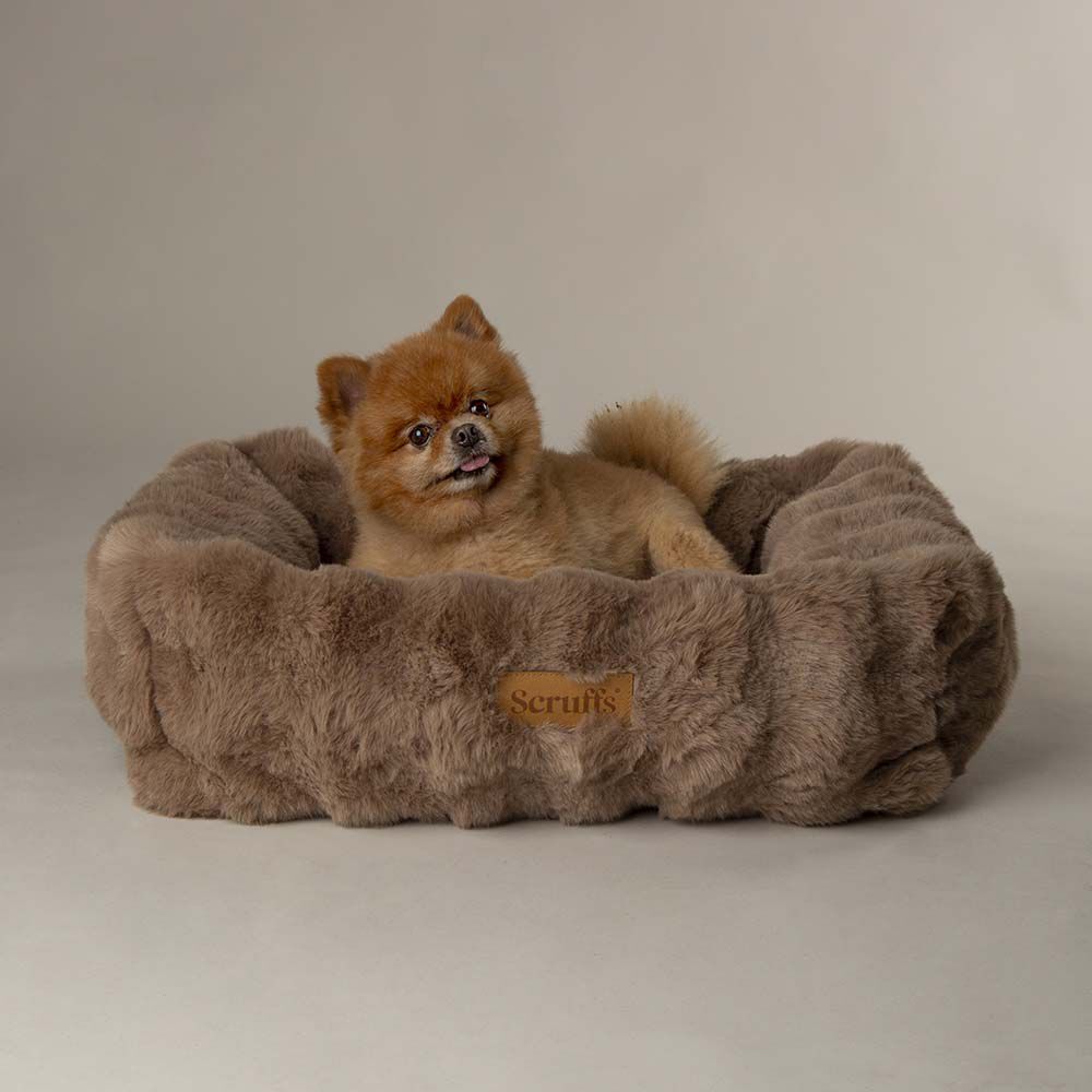 Scruffs Alpine - Hondenmand - Bruin - 28x82x50 cm - M