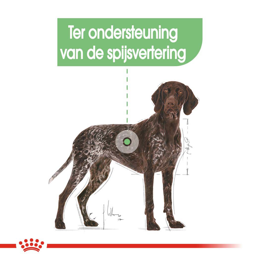 Royal Canin Digestive Care Maxi Adult - Hondenvoer - 12 Kilogram - gevogelte