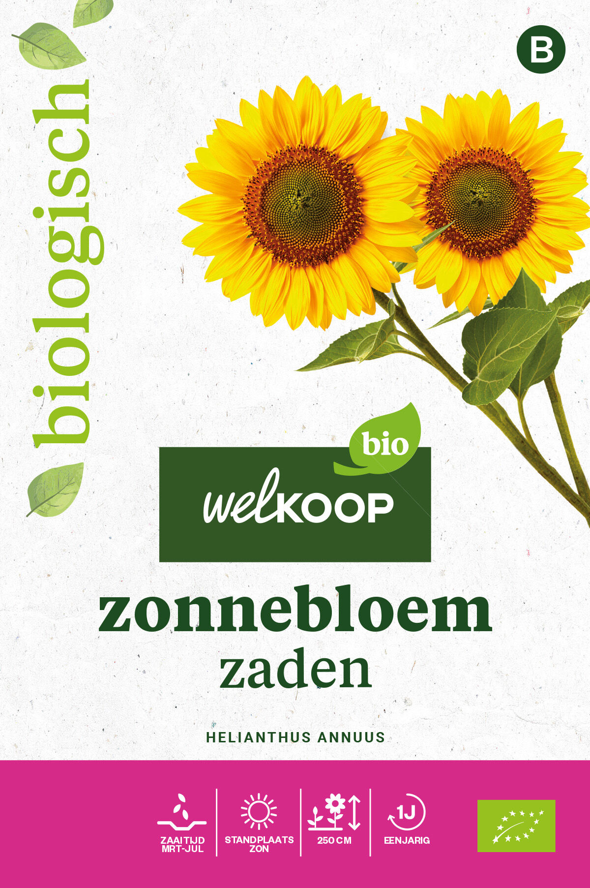 Welkoop Bio - Zonnebloem Zaden