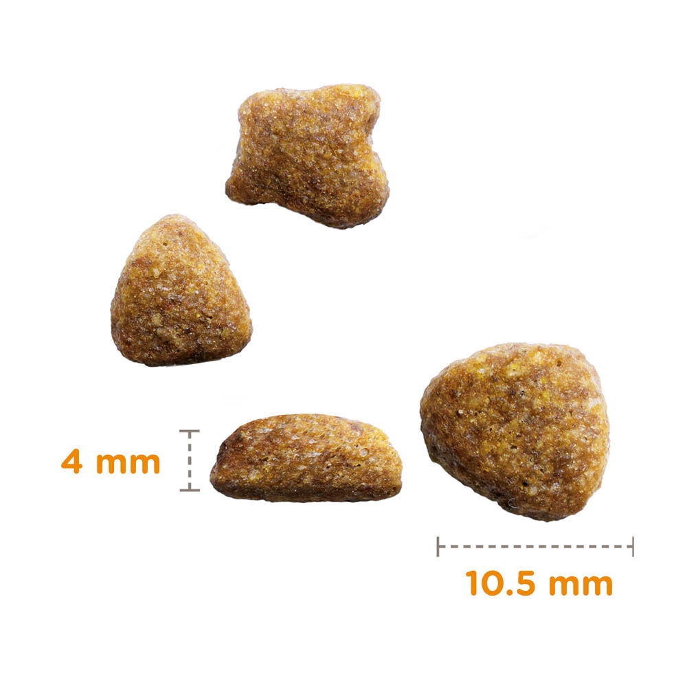 Iams Senior - Kattenvoer - 3 Kilogram - vis