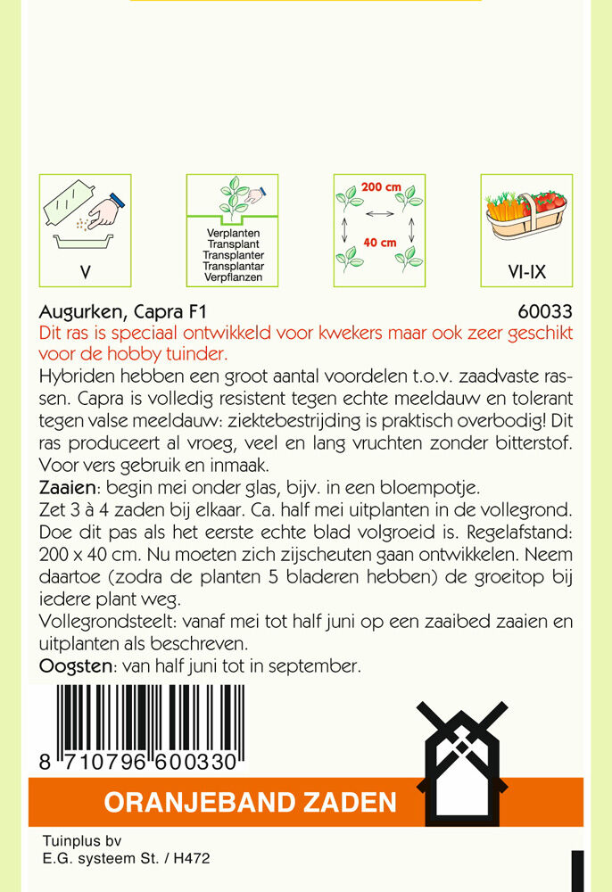 Oranjeband zaden Augurken Captra F1 - Groentezaden