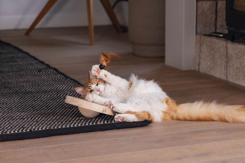 Designed by Lotte Winni - Kattenspeeltje - Bruin