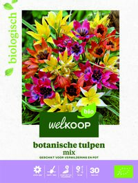 Welkoop Tulp Biologisch Botanische mix - Bloembollen