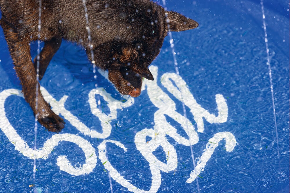 Beeztees Stay cool - Sprinkler mat -Waterspeelgoed hond - blauw - 27.8x100x4.7 cm