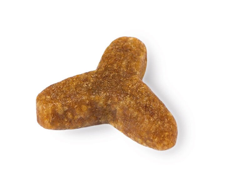 Prins VitalCare - Resist - Calm - Kattenvoer - 1.5 Kilogram - gevogelte