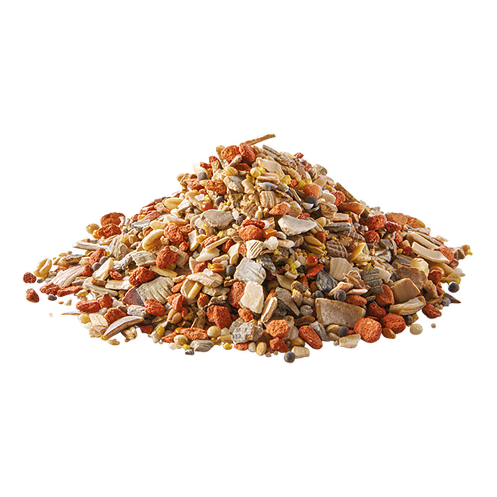 Welkoop Pikmix - Kippen Supplement - 1.5 Kilogram