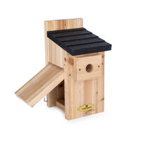 Vogelbescherming Kolding Nestkast - Koolmees - 32 mm
