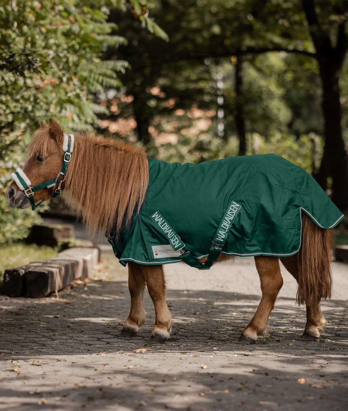 Waldhausen Shetlander - Regendeken Paard