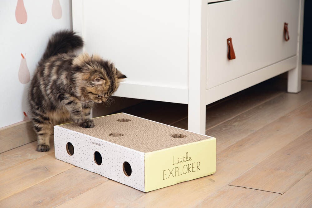 Beeztees Riva - Krabkarton - Multi - 1x25x1 cm