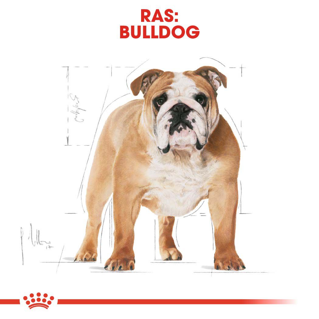Royal Canin Bulldog Adult - Hondenvoer - 3 Kilogram - gevogelte