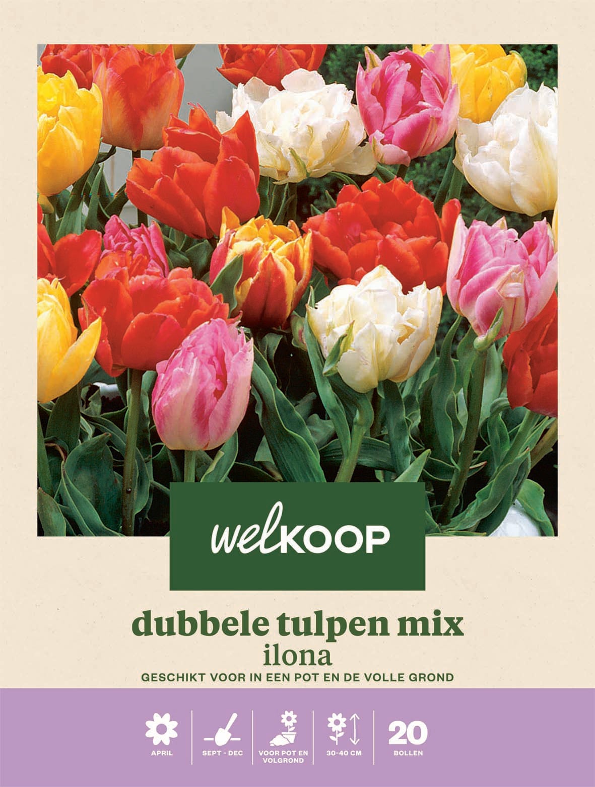 Welkoop Dubbele Tulpen mix Ilona - Bloembollen Welkoop Dubbele Tulpen mix Ilona - Bloembollen