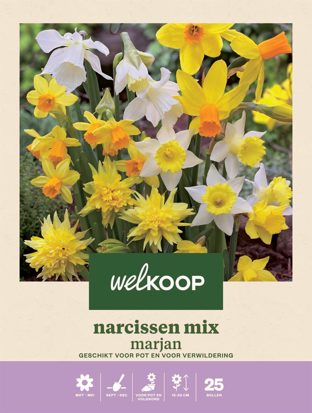 Welkoop Narcis Marjan - Bloembollen Welkoop Narcis Marjan - Bloembollen