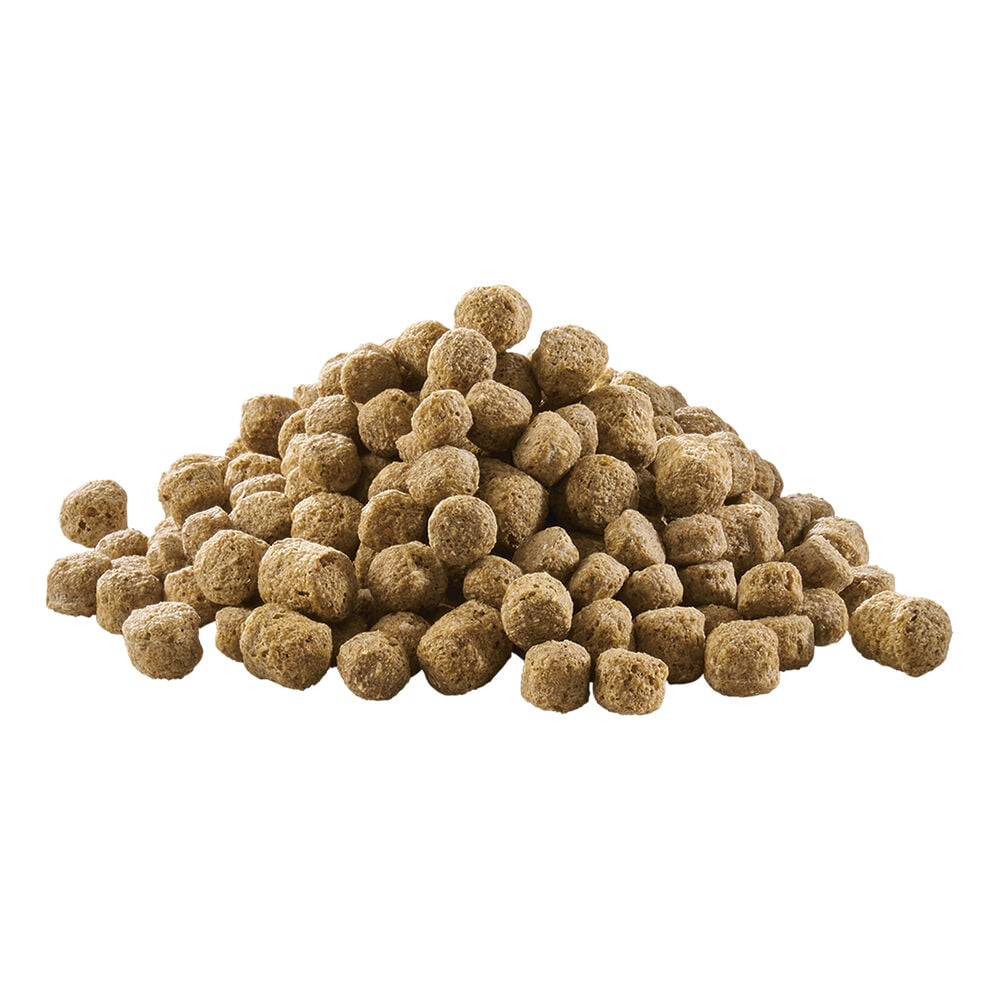 Welkoop Drijvende voeding - Watervogelvoer - 12 Kilogram