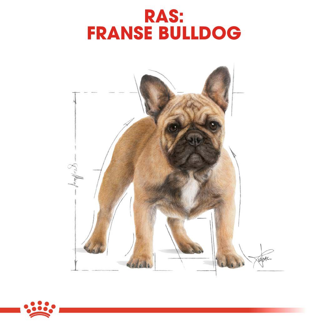 Royal Canin Franse Bulldog Adult - Hondenvoer - 3 Kilogram - gevogelte