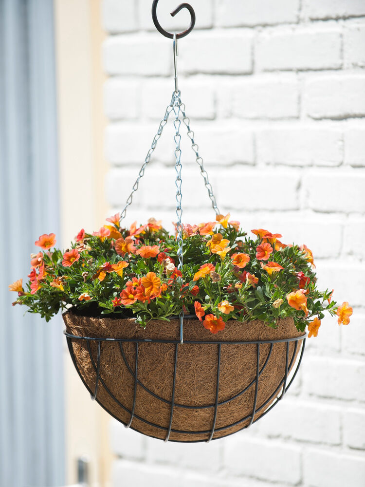 Nature - Hanging basket - Groen - 35 cm