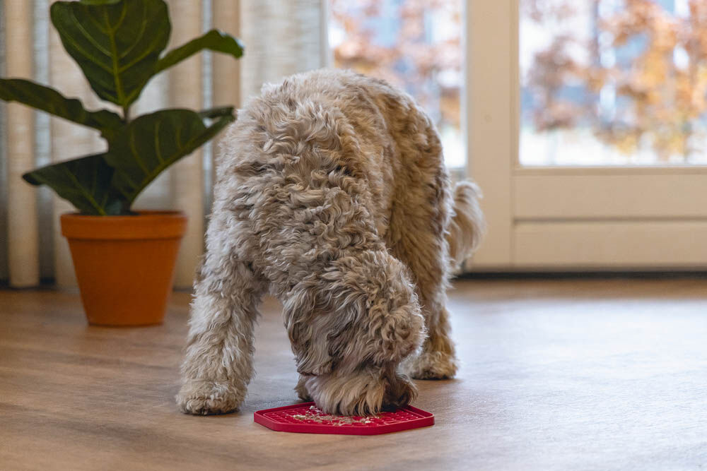 Beeztees Hexagon - Likmat