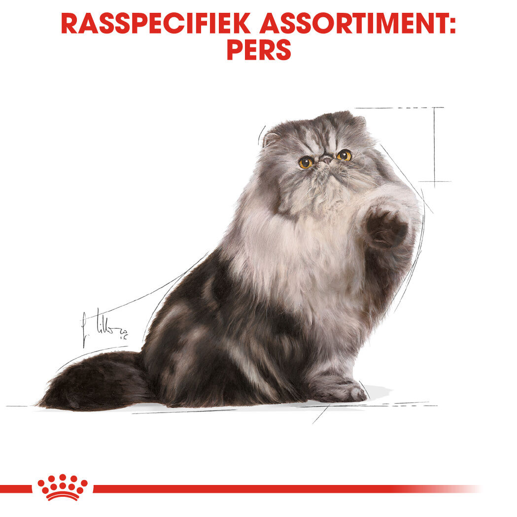Royal Canin Persian Adult Pouch - Kattenvoer - 1020 Gram