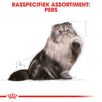 Royal Canin Persian Adult Pouch - Kattenvoer - 12x85 gram - 1020 Gram