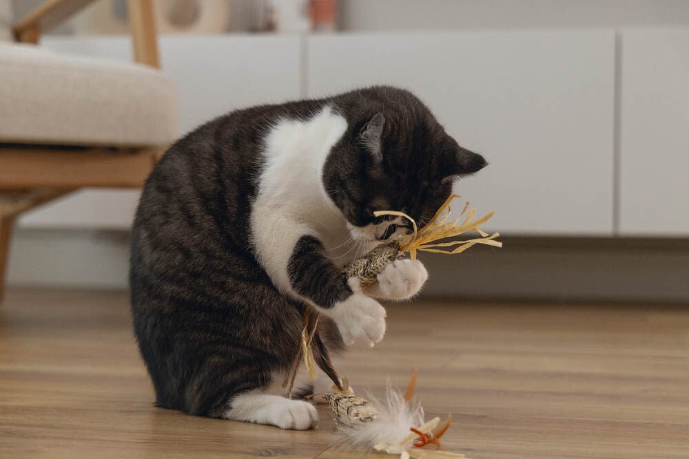 Beeztees Stick Omazo - Kattenspeeltje - Beige