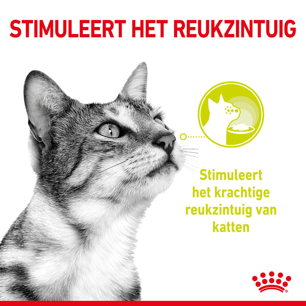 Royal Canin Sensory Smell - Kattenvoer - 1020 Gram