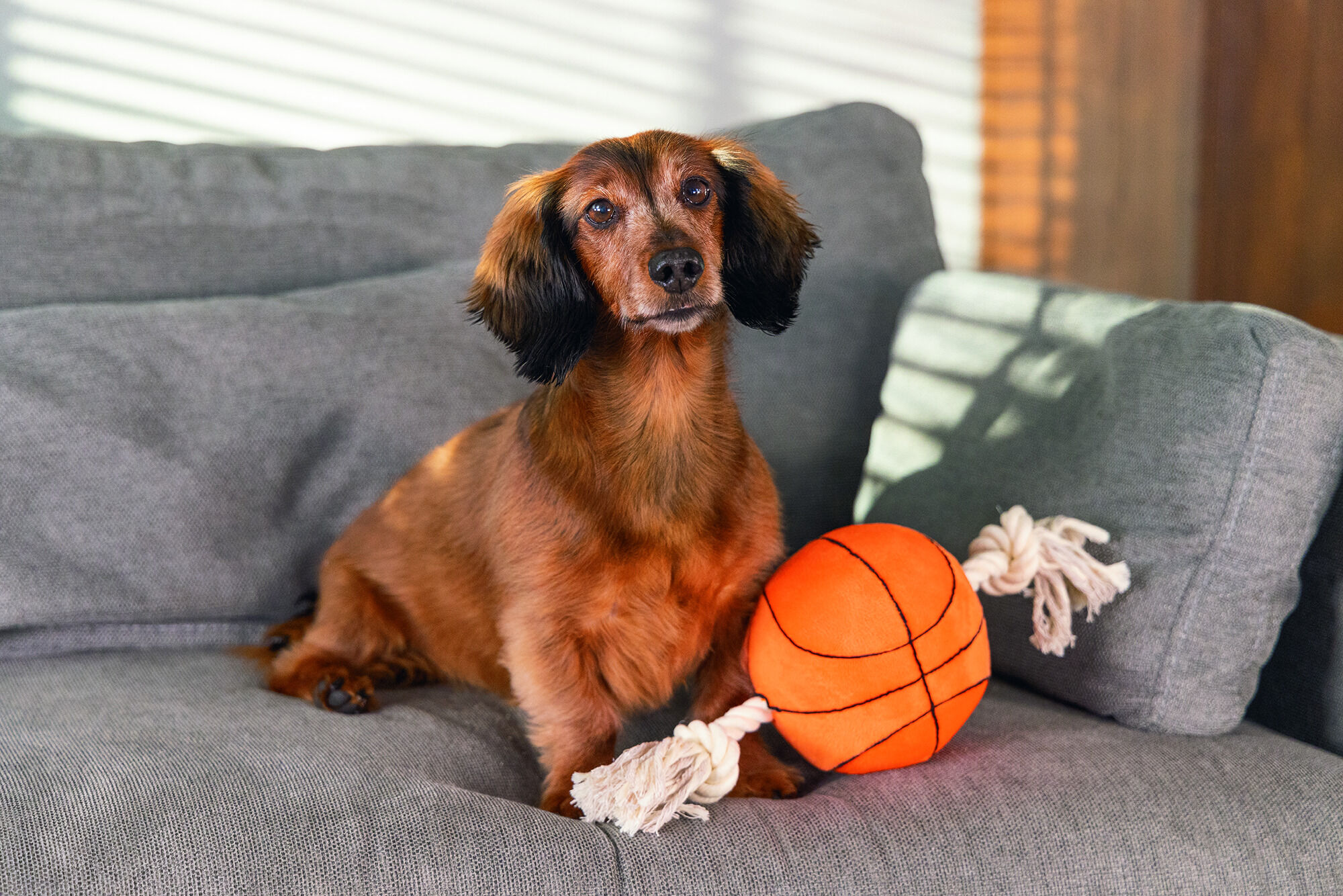 Beeztees Basketbal Pluche - Flostouw - Knuffels - Hondenspeelgoed