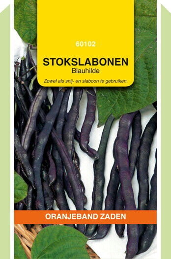 Oranjeband zaden Stokspekbonen Blauhilde - Groentezaden