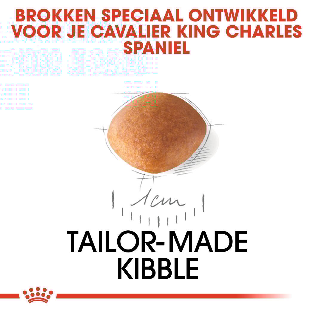 Royal Canin Cavalier King Charles Puppy - Hondenvoer