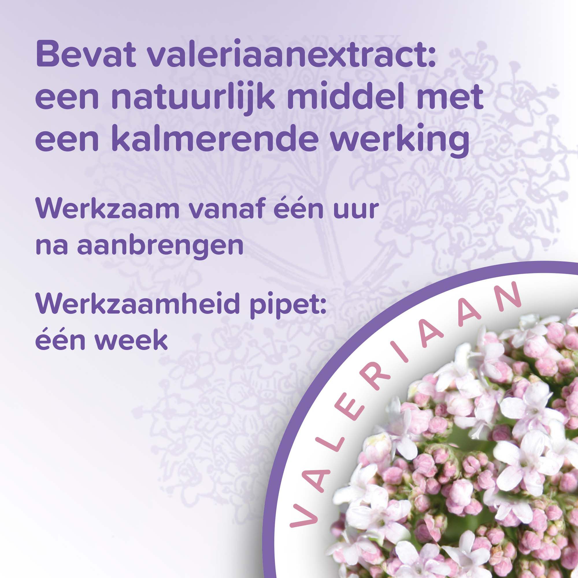 Beaphar No Stress Kat  - Kalmeringsmiddel - 3 Stuks