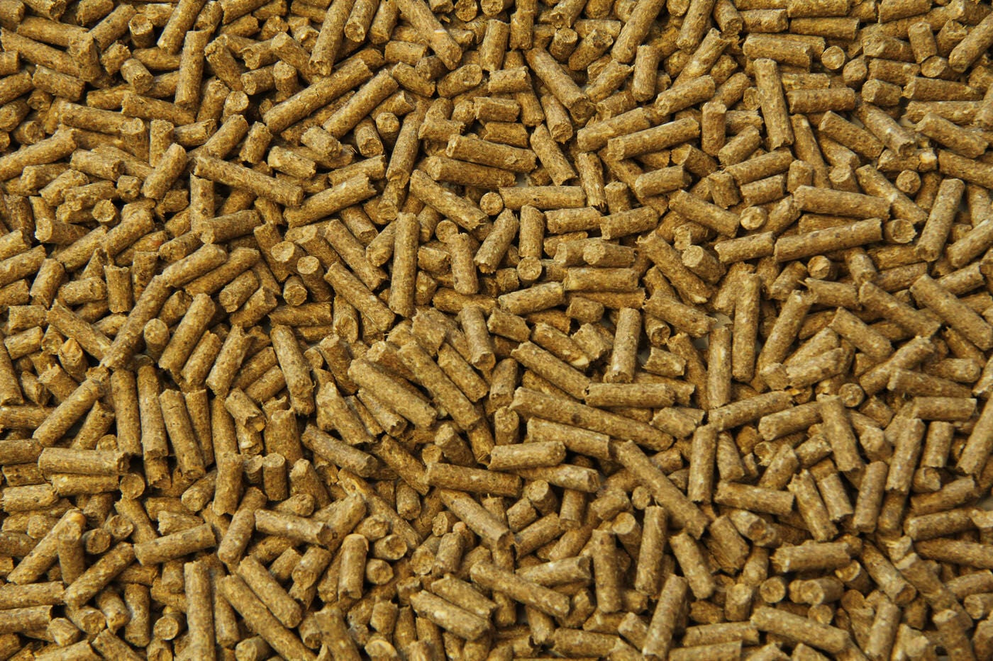 Subli Sport/ prestatie Brok - Paardenvoer - 20 Kilogram - Zak