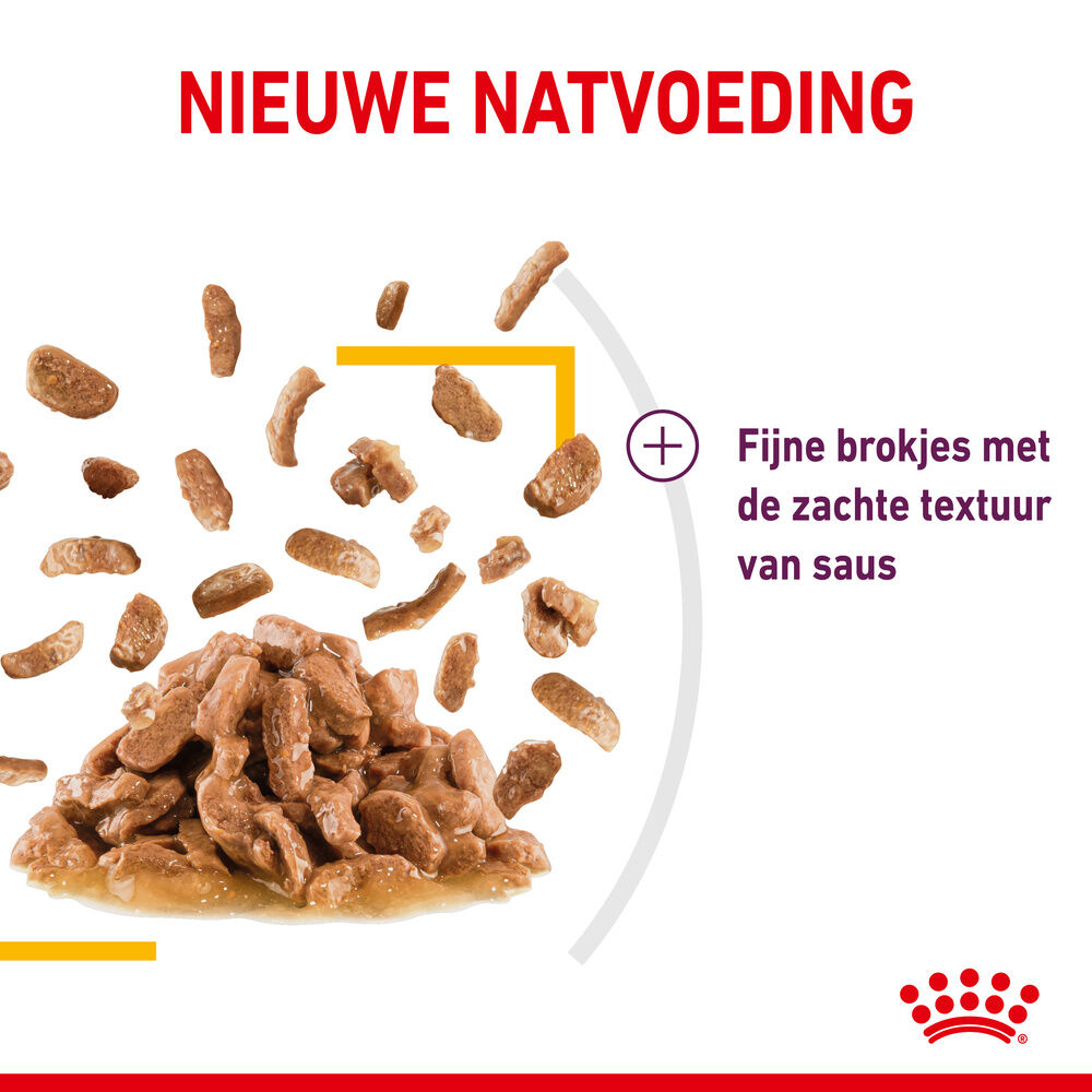 Royal Canin Sensory Taste - Kattenvoer - 1020 Gram