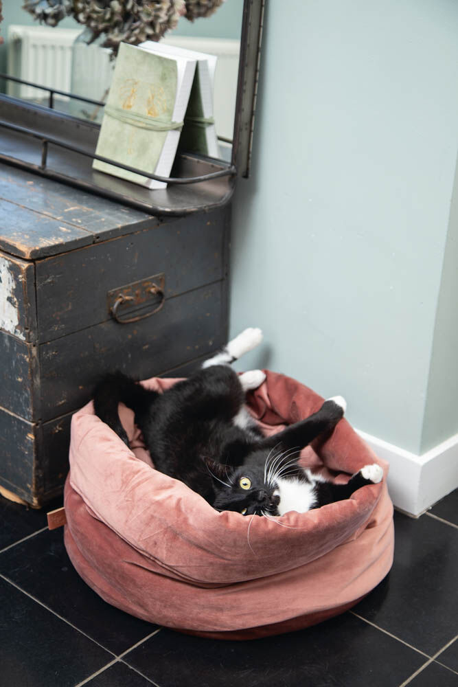 Designed by Lotte Fluco - Kattenmand - Roze - 28x45x45 cm