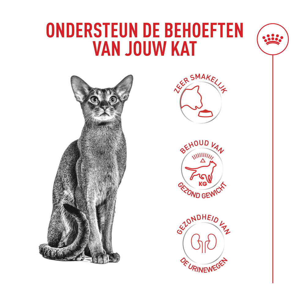 Royal Canin Fussy Exigent - Kattenvoer - 10 Kilogram