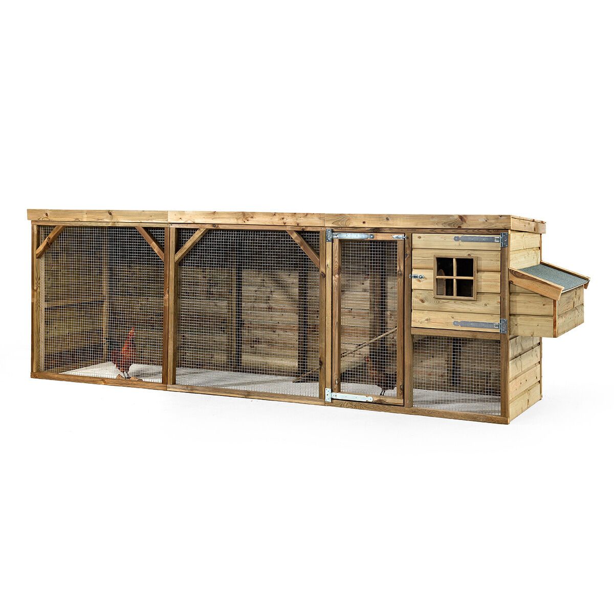 Glorenza  Toby - Kippenhok