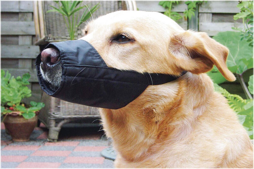 Beeztees Special - Veiligheidsmuilband - Hond - Kort