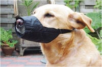 Beeztees Special - Veiligheidsmuilband - Hond - Kort - zwart - 22 cm