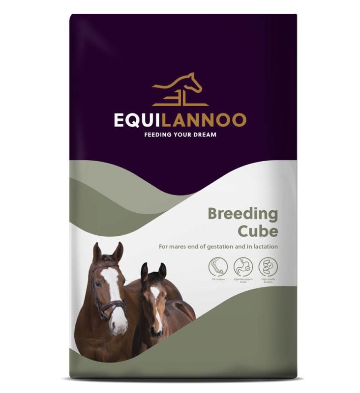 Equilannoo Breeding Cube - Fokkerij
