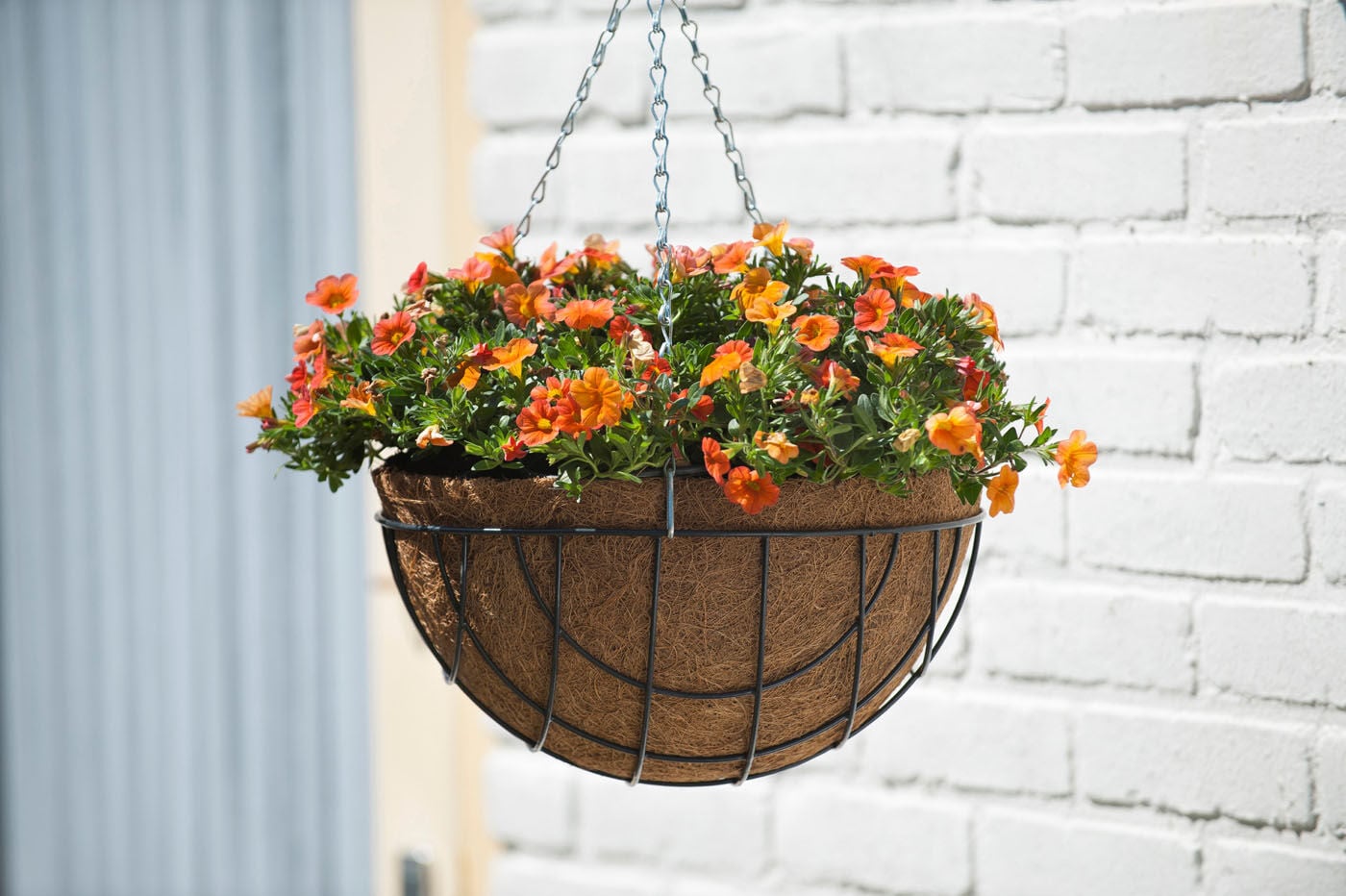 Nature  - Hanging basket - Groen - 30 cm