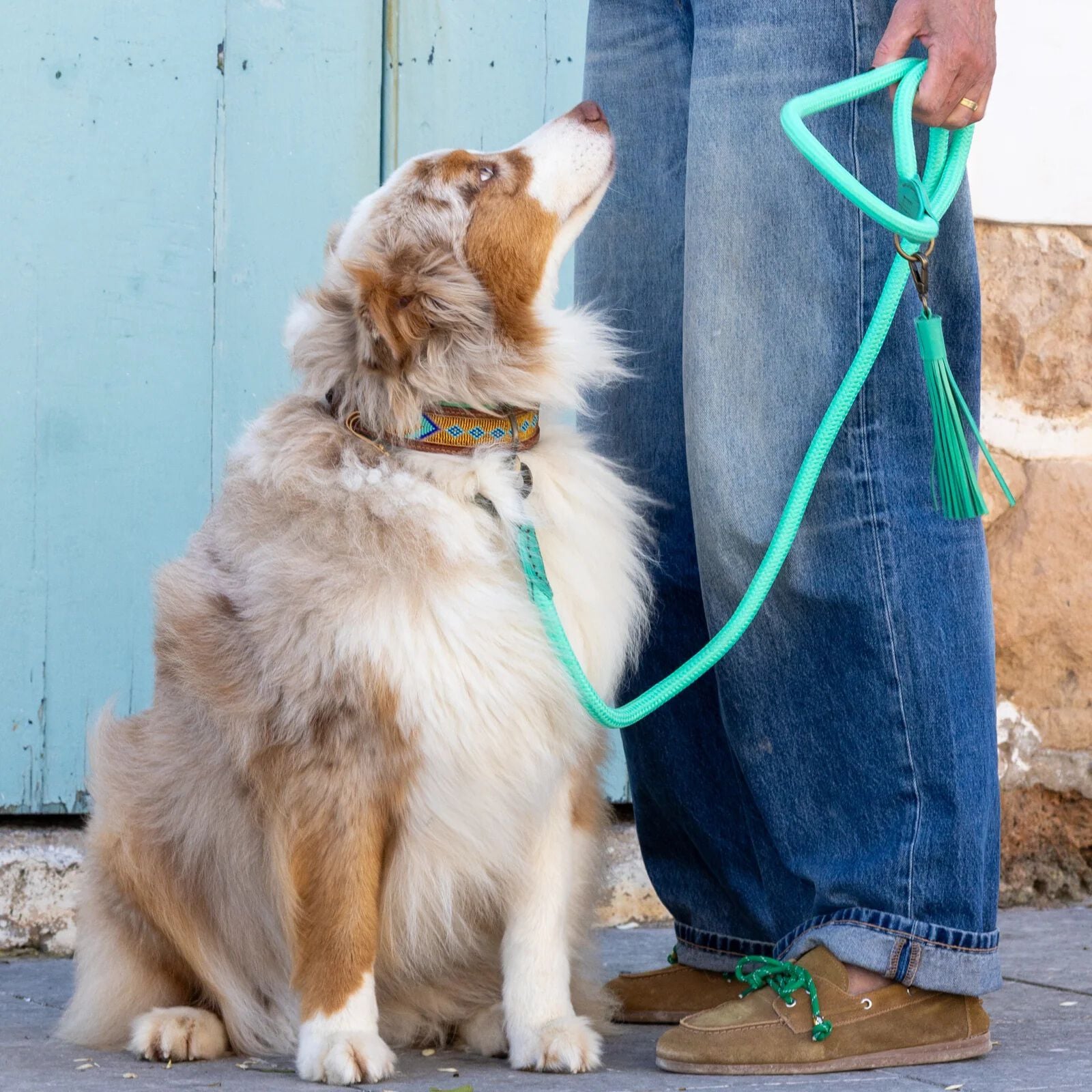 Dwam Lagoon 220 cm - Trainingslijn Hond - Turquoise
