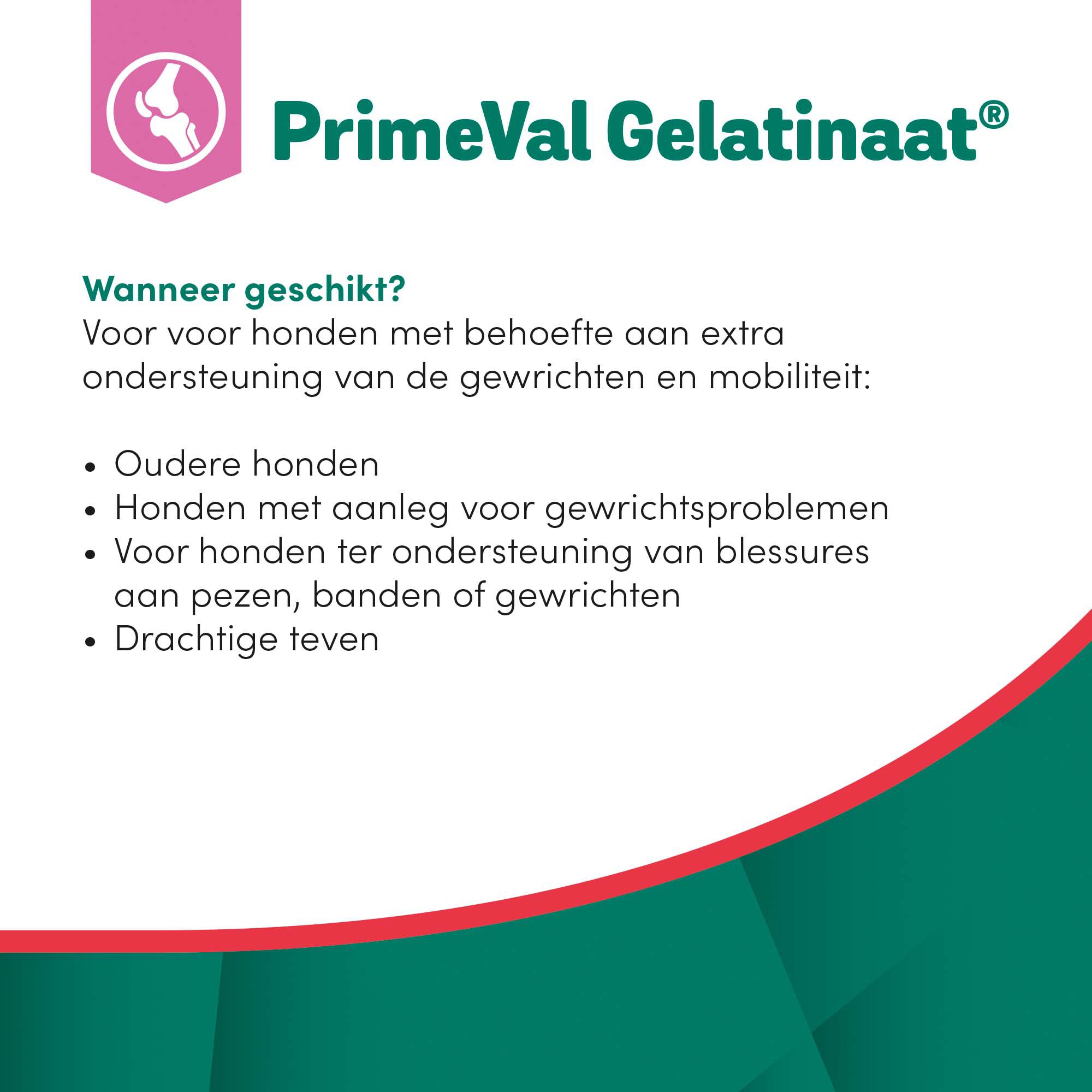 Primeval Gelatinaat Hond - Voedingssupplement - 2 Kilogram
