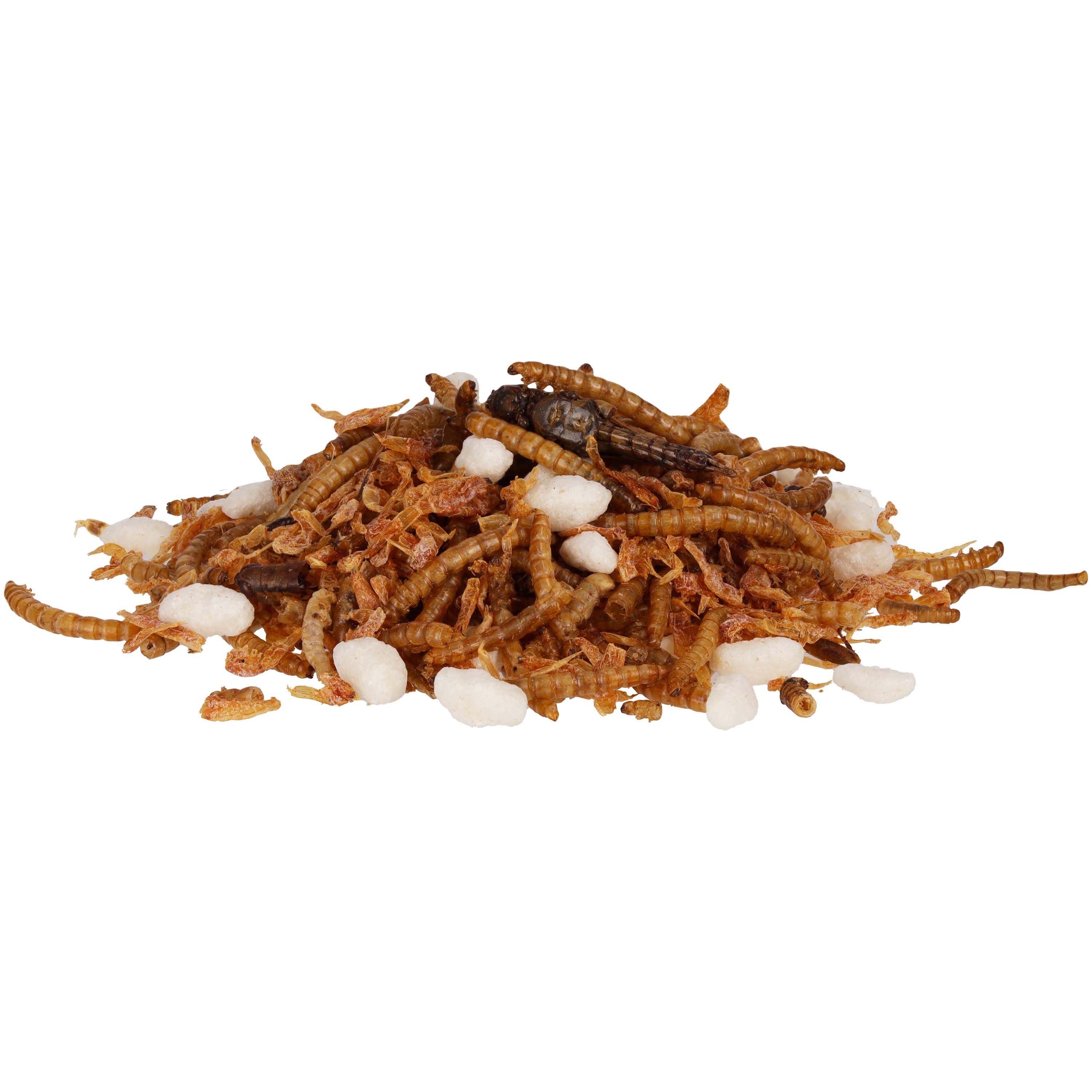 Welkoop Insectenmix - Kippensnack - 400 Gram